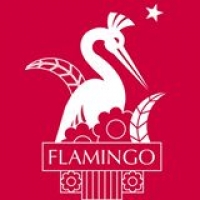 FLAMINGO Communication